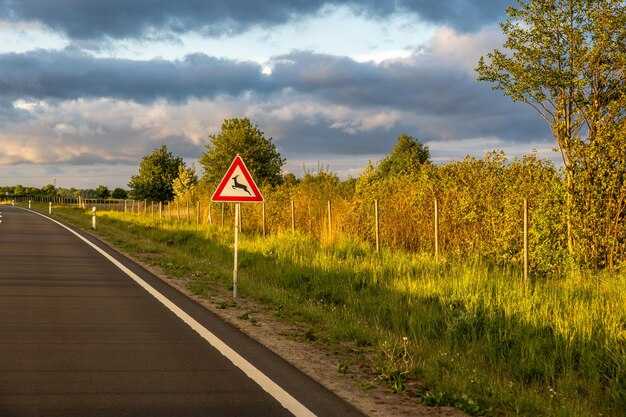 Проверка реле ближнего света