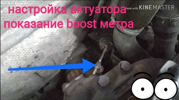 undefined1.